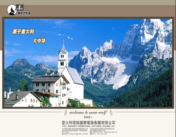 雪狼国际电器集团有限公司